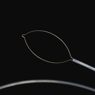 ದವಡೆಯ ಪ್ರಕಾರ ವಿದೇಶಿ ದೇಹದ ಫೋರ್ಸ್ಪ್ಸ್